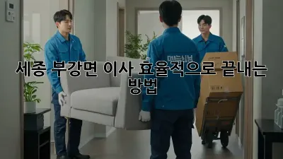 세종 부강면 이사, 효율적으로 끝내는 방법!